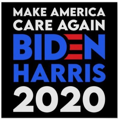 🌊🌊Progressive Democrat supporting Biden-Harris, and every Democrat. Vote every Republican OUT. #BlueWave2020 #TheResistance