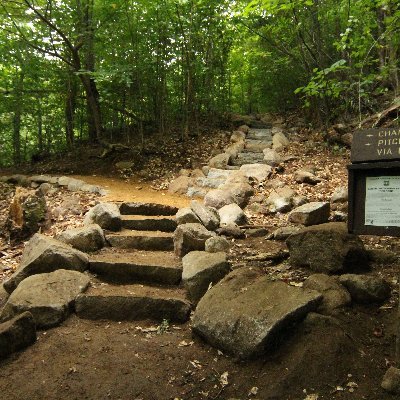 samblarson's profile picture. single-issue non-voter