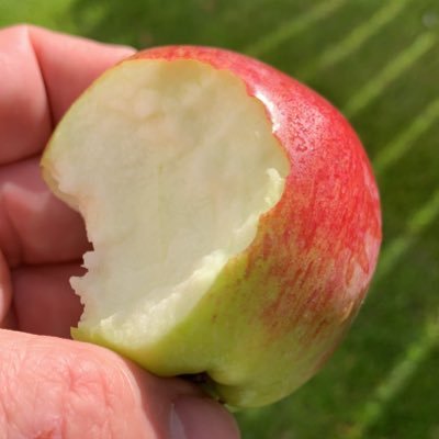 Michael78146035's profile picture. 