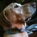 Beau Porter - @BeauPorter8 - Twitter