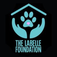 thelabellefoundation (@labellefdn) 's Twitter Profile