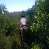 Juan Segundo Saravia (@saravia_segundo) 's Twitter Profile