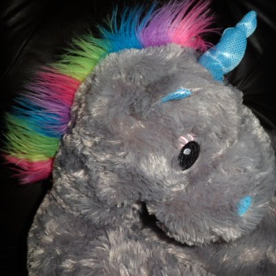 I am a friendly Scottish unicorn whose mission in life is to welcome, support, comfort and care.