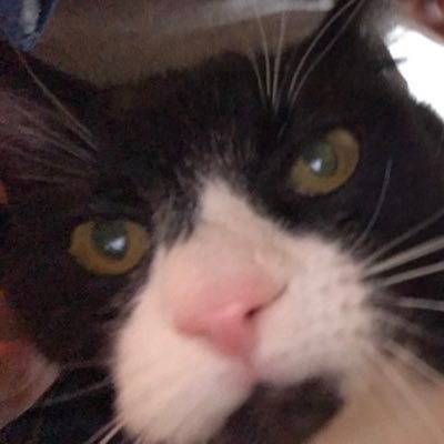 THE_CocoaDew's profile picture. ||-//