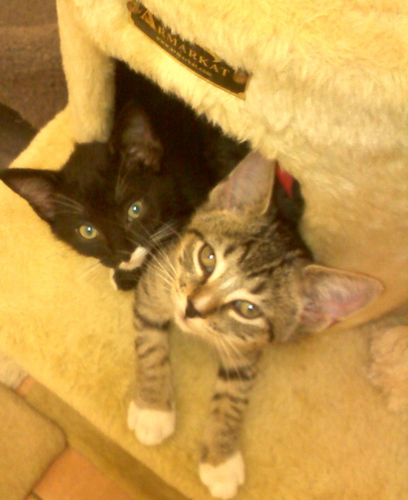 dimpledork33's profile picture. Life is what happens while you are busy making other plans.
-John Lennon