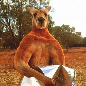 hAAhD0v3Y726YdA's profile picture. 