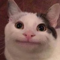 NO ONE! (@iraqiia0) 's Twitter Profile