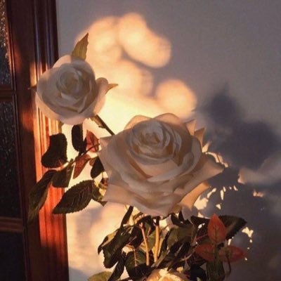 sarahmgi's profile picture. ﴿وماكان الله معذبهم وهم يستغفرون﴾ استغفرالله العظيم واتوب إليه . All distant hopes are closer by dua