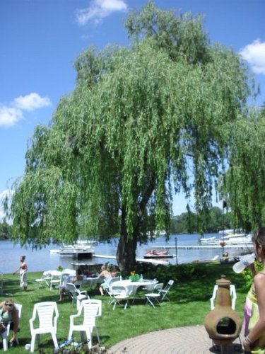 Crazyncute120's profile picture. 