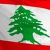 لبنان (@sabchenko) Twitter profile photo لبنان (@sabchenko) Twitter profile photo