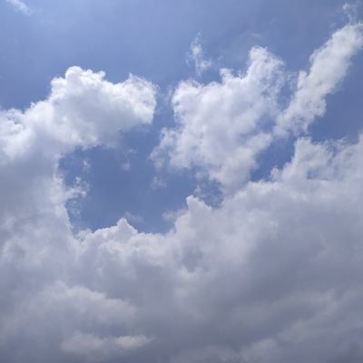 PandhreAkshay's profile picture. 