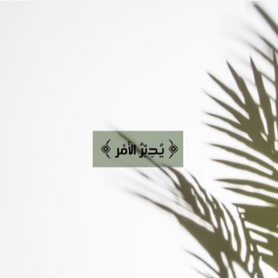 NoOoF_92's profile picture. بعض التغريدات لا تمثلني ابدا .. كل مافي الامر انها احرف كونت لي كلمات راقت لي قرائتها وغردت بها .. فقط