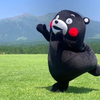 紅熊さんのプロフィール画像