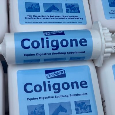 Equine digestive supplements - Over 80% of our customers report amazing changes in their horses with Coligone, results seen in 20-30 min of feeding.