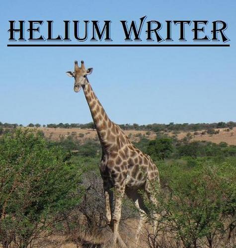 I'm studying language & culture of East Africa and writing in helium and my website about what I have learned. http://t.co/UdwTorveD7
