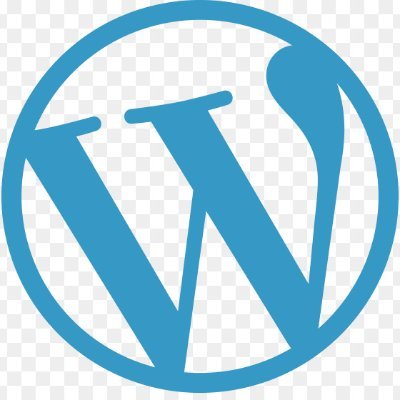 Professional web designer
 and Developer with WordPress Elementor, HTML and CSS