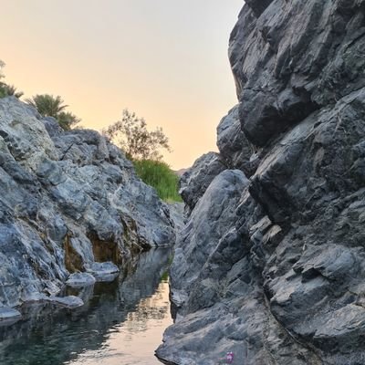 ﴿ فاطِرَ السَّماواتِ وَالأَرضِ أَنتَ وَلِيّي فِي الدُّنيا وَالآخِرَةِ تَوَفَّني مُسلِمًا وَأَلحِقني بِالصّالِحينَ﴾