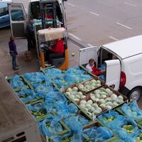 Banco de Alimentos Córdoba (@balimentos) 's Twitter Profile Photo