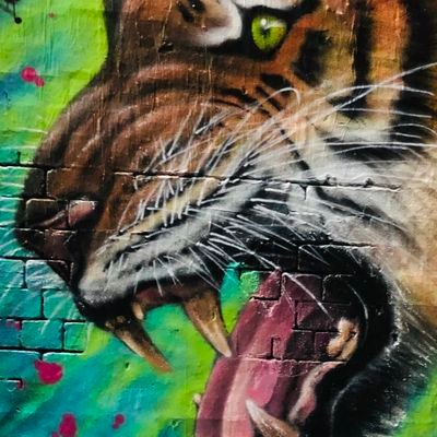 Sithhan1's profile picture. Truth Seeker