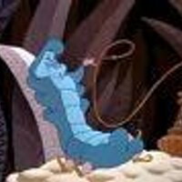 Tuxedo (@coffsrunner67) 's Twitter Profile