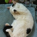 simon plant - @simonovleeds - Twitter