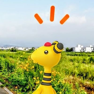 ポケGO専用アカウント。東京西部にいるぽんこつレトロゲームファンのnilgiri（ニルギリ）です。S8-13/15レジェンド。でんきタイプ使いになりたい下手の横好き。