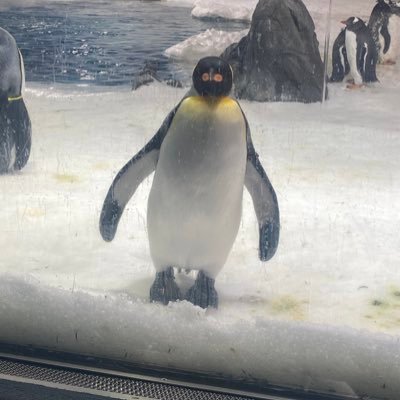 jeeniebee's profile picture. Footballer ⚽️ Views are my own.