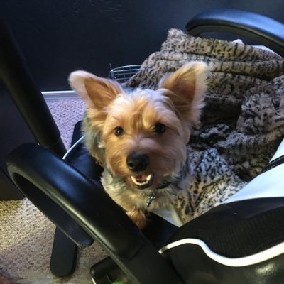 t_rock_tara's profile picture. 