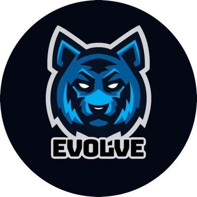 EvolveFIFA_ Profile Picture