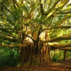 DxBiotech Lab (@dxbiotechlab) 's Twitter Profile Photo DxBiotech Lab (@dxbiotechlab) 's Twitter Profile Photo