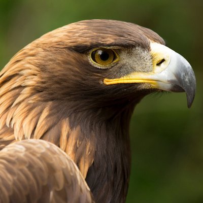 Baseer34208570's profile picture. 