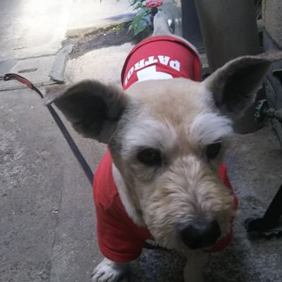 5l0WOjLwdbEbhp8's profile picture. 