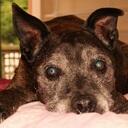 Susannah Glover - @SusannahG1 - Twitter