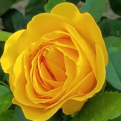 ingriddeni's profile picture. ❤️Diseñadora gráfica  💡Mercadóloga  🔥Especialista de #marketingdigital 🔥 ✏️Asesorías y capacitaciones para empresas 🌻Soñadora 💪🏻De mentalidad ganadora