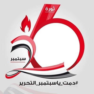 هدهد النصر Profile