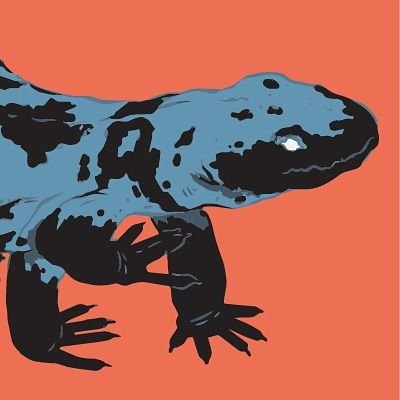 BrookeElayyne's profile picture. Art skills to pay the bills.