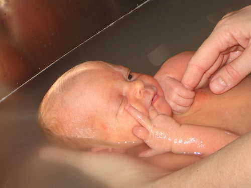 RandyxRoos's profile picture. 