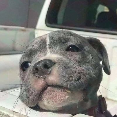 UPfgVZj4YKqzHRl's profile picture.