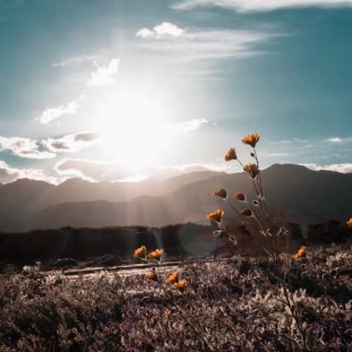 A_AScience's profile picture. 