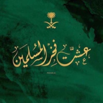 NohaAhmadGH's profile picture. 