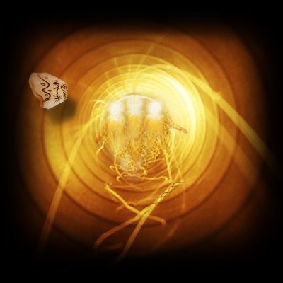 WhatAboutSoul's profile picture. Once upon a time, and from time to time, french translator of the WingMakers Materials.