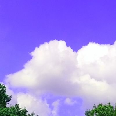 off_the_what's profile picture. 