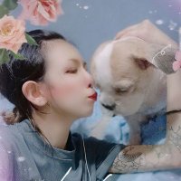 Lucky&Mickey - @Wendy597Ong Twitter Profile Photo