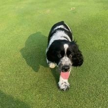 sturts57's profile picture. 