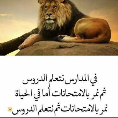 Aosm79738794's profile picture. 