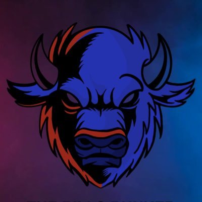 Bringing you the latest news, updates, and other Buffalo Bills content. Founded by @varcoesports IG-@billsbunker