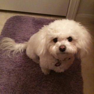 desireeeeeee's profile picture. 