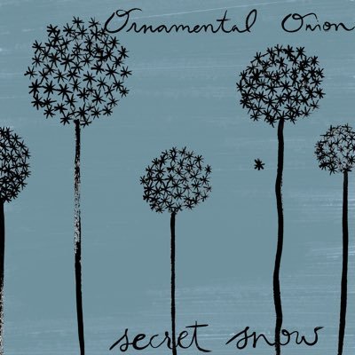 Ornamental Onion’s new album, Secret Snow, is now available. Members of @froyalsband, @EskimosThe, and VG Minus.