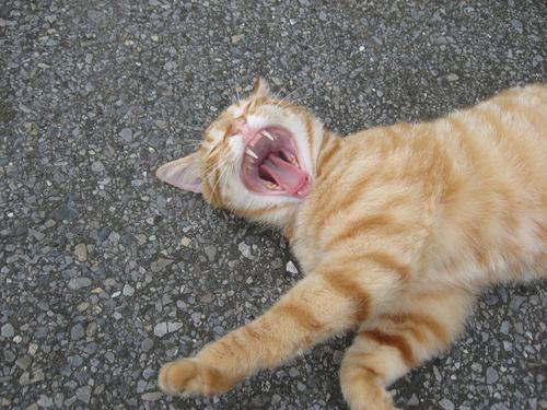 hidepon1173's profile picture. 波乗りの好きなおっちゃんです