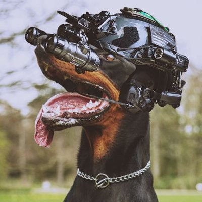夜目犬 よめいぬ 次のジェロニモ ファスガン夜戦はいつかな この為に生きていると言っても過言ではない